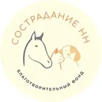 Аватар канала СостраданиеНН 🐾