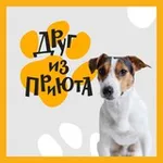 Аватар канала Друг из приюта FABERLIC