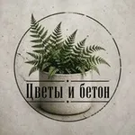Аватар канала Цветы и бетон