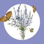 Аватар канала Рисуем вместе 🌿 Vereskart 🎨 Акварель