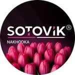 Аватар канала Sotovik_nhk