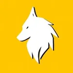 Аватар канала - BSC -