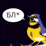 Аватар канала Синицын, бл 🤬