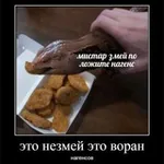 Аватар канала Воран нагенсов