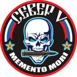 Аватар канала Бригада "Север-V" ДК ВС РФ