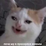 Аватар канала ради чего я живу