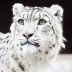 Аватар канала Сайлюгемский нацпарк