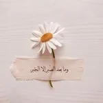Аватар канала ومـا بـعد الـصـبر إلا الجـبر 🌸 🌿