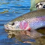 Аватар канала KamFishing 🐟 - рыбалка и туризм на Камчатке
