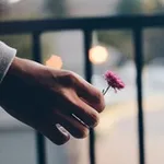 Аватар канала نبــــ͡ــ ❣ ــــــضهٰ̐ہ ¸ قلٖبٰۧ