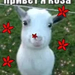 Аватар канала ПОЛИНА КАМНЕВЕДОВА