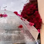 Аватар канала دعم مُجـلد 𝟏𝟎𝟎𝐊 .
