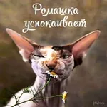 Аватар канала Литературный детокс