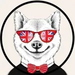 Аватар канала English like a Boss | Английский язык