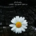 Аватар канала ملجئي.