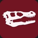 Аватар канала Beerosaurus Shooting