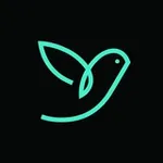 Аватар канала BirdTravel.ru