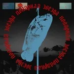 Аватар канала полярная звезда