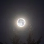 Аватар канала مُنتَقـيات 🌻 🤍 .