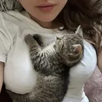 Аватар канала YATO
