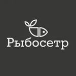 Аватар канала Рыбосетр
