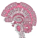Аватар канала NeuroScience
