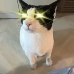 Аватар канала 꿀찾는 양말이 Super N 크립토 일기장 ⚡️
