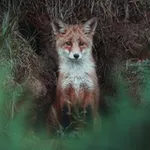 Аватар канала 📸 C H I L L S I D E 🌿