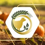 Аватар канала Минсельхоз73 🌾
