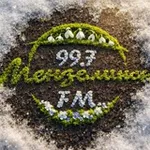 Аватар канала Menzelinskfm 🔞