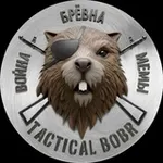 Аватар канала TACTICAL BOBR