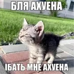 Аватар канала BASHM4K | Sp!Ner GanG