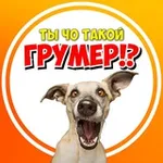 Аватар канала Ты ЧО такой ГРУМЕР ⁉️