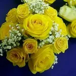 Аватар канала Gif табрикларZamzamaS 💐 💐 💐