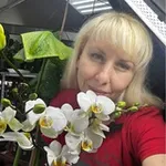 Аватар канала Мой маленький питомник «Весна»