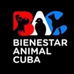 Аватар канала BACANOS INFORMA ℹ️