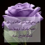 Аватар канала 💗 من كل 💗 بستان زهرة 💗