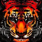Аватар канала ЧП'NEWS"DV|РФ