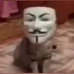 Аватар канала Dodiki_tg