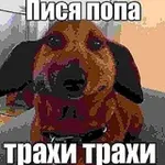 Аватар канала пися попа трахи трахи