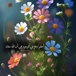 Аватар канала 🌩 همسات لطیفه ❤️