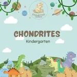 Аватар канала CHONDRITES KINDERGARTEN