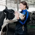 Аватар канала Увлекательные коровы 🐄
