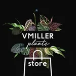 Аватар канала VMILLER plants 🌱 store