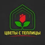 Аватар канала Цветы с Теплицы 56