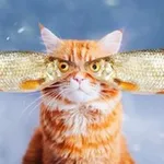 Аватар канала Дайте рыбов!