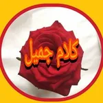 Аватар канала كلام جميل