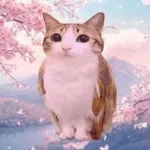 Аватар канала ℨ𝔢𝔱𝔱𝔢𝔩𝔨𝔞𝔰𝔱𝔢𝔫