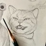 Аватар канала erizo verde