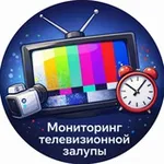 Аватар канала Мониторинг телевизионной залупы